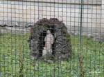 Petrova Ves - lurdská jaskyňa v záhrade domu