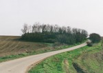 Židovský cintorín, Rovensko